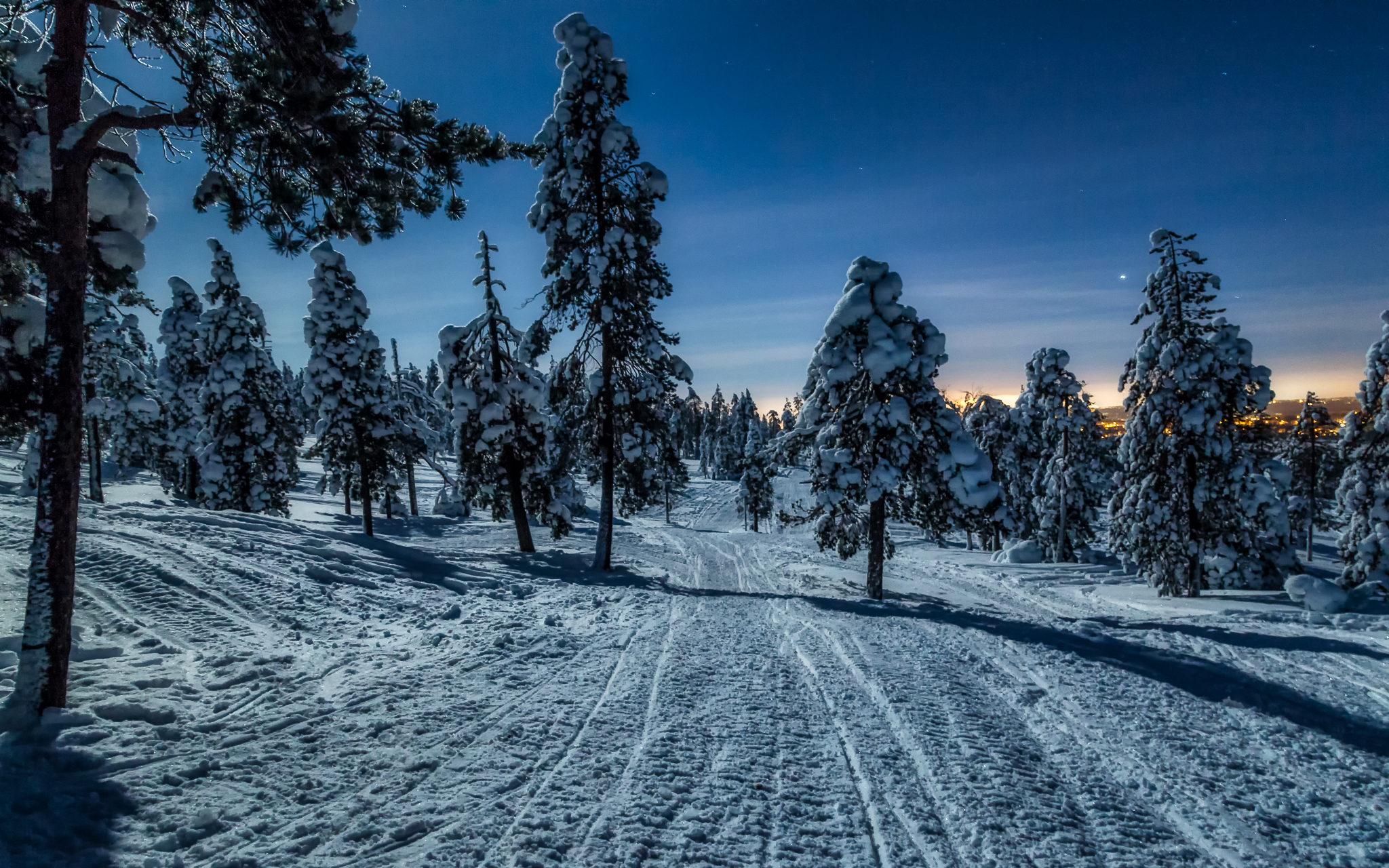 Finland-Forest Moonlight